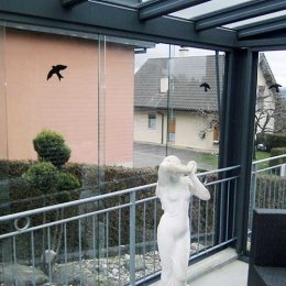 Pergola pergola-galerie-7