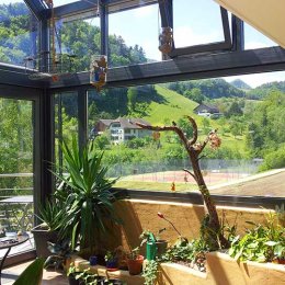 knecht Dienstleistung Wintergarten